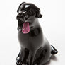 Handsome Black Labrador, made in Norfolk at Langham Glass