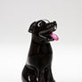 Handsome Black Labrador, made in Norfolk at Langham Glass