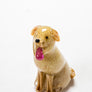 Golden Labrador Handmade at Langham Glass, Norfolk