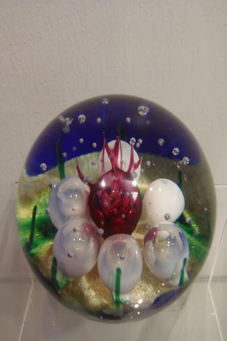 Handmade glass limited edition Pacific paperweight