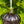 Handmade Hanging Pumpkins