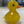 Baby Duckling