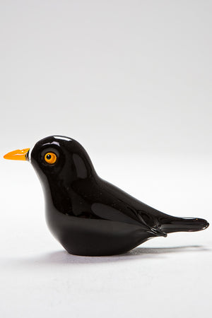 Beautiful handcrafted Blackbird made in Norfolk at Langham Glass