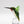 Handcrafted glass Hummingbird