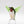 Handcrafted glass Hummingbird