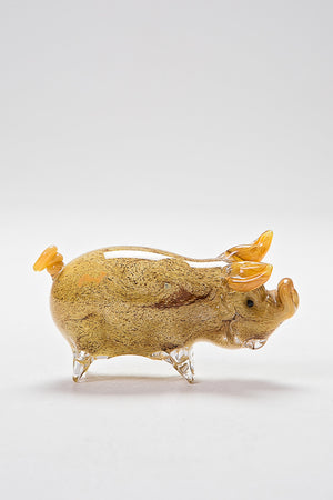 Kune Kune pig
