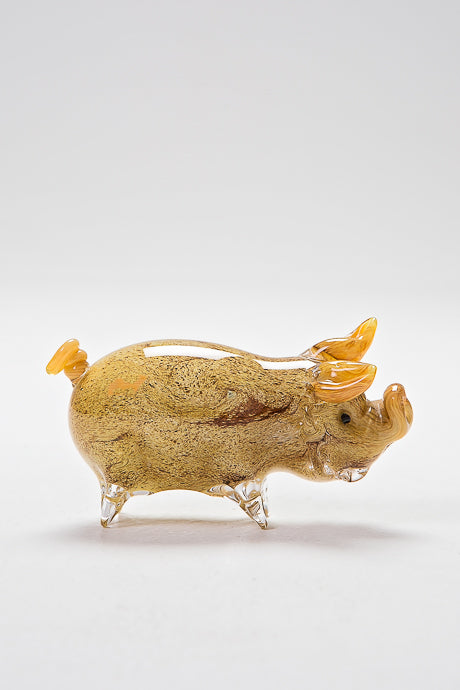 Kune Kune pig