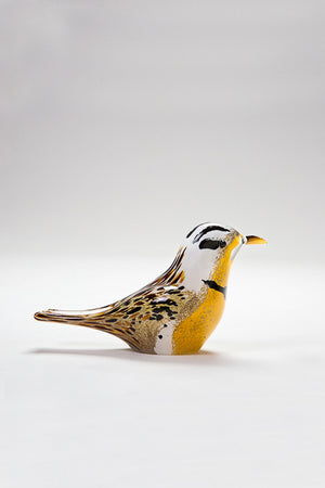 Meadowlark handmade in Norfolk at Langham Glass