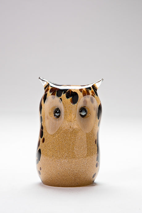 Handsome glass Owl