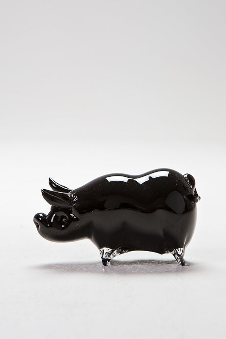 Vietnamese Pot Bellied Pig